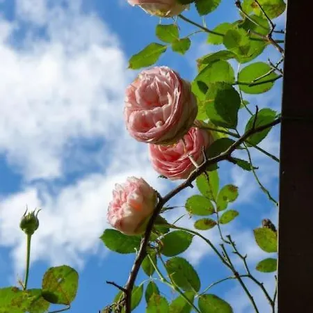 Apartmán Il Monsignore - Finnish Woodenjacuzzi And Stunning Views *